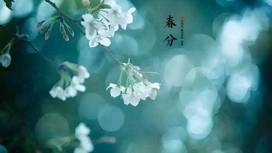 Spring Disease Prevention Guide: How to Regulate Your Constitution and Boost Immunity During the Awakening of Insects - STAR8S