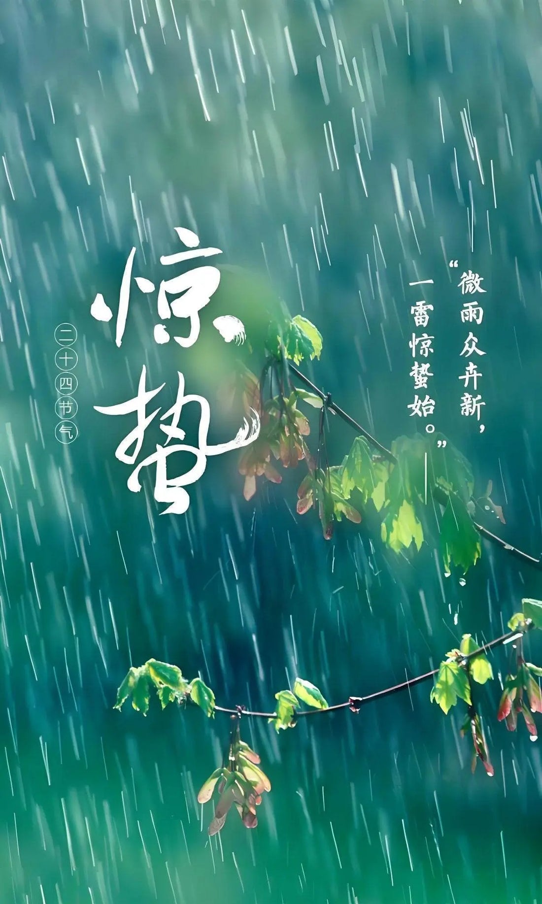 3/5 - 3/20 is "Jingzhe" (Awakening of Insects), a day symbolizing the revival of all things. The remarkable twenty-four solar terms! - STAR8S