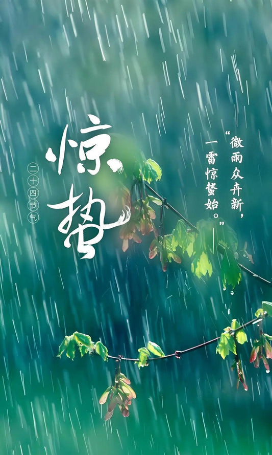 3/5 - 3/20 is "Jingzhe" (Awakening of Insects), a day symbolizing the revival of all things. The remarkable twenty-four solar terms! - STAR8S