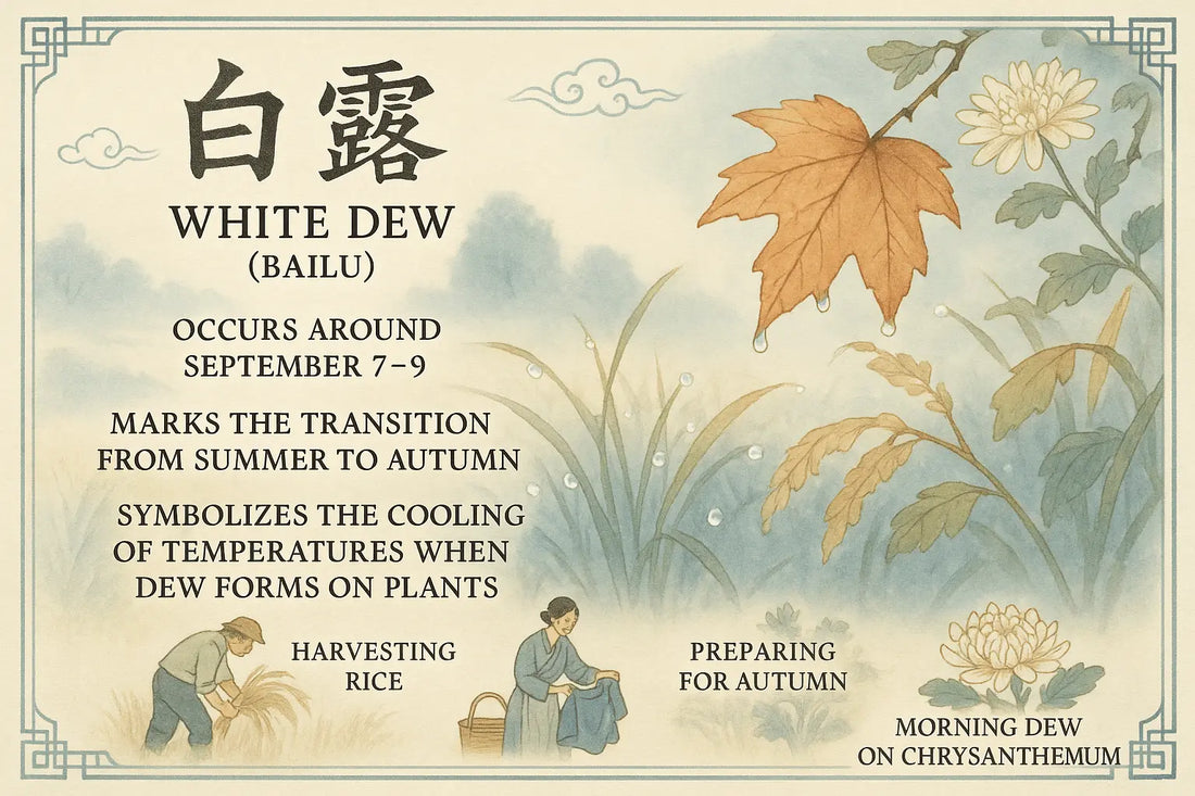White Dew Explained: Significance and Traditions in the 24 Solar Terms Calendar image
