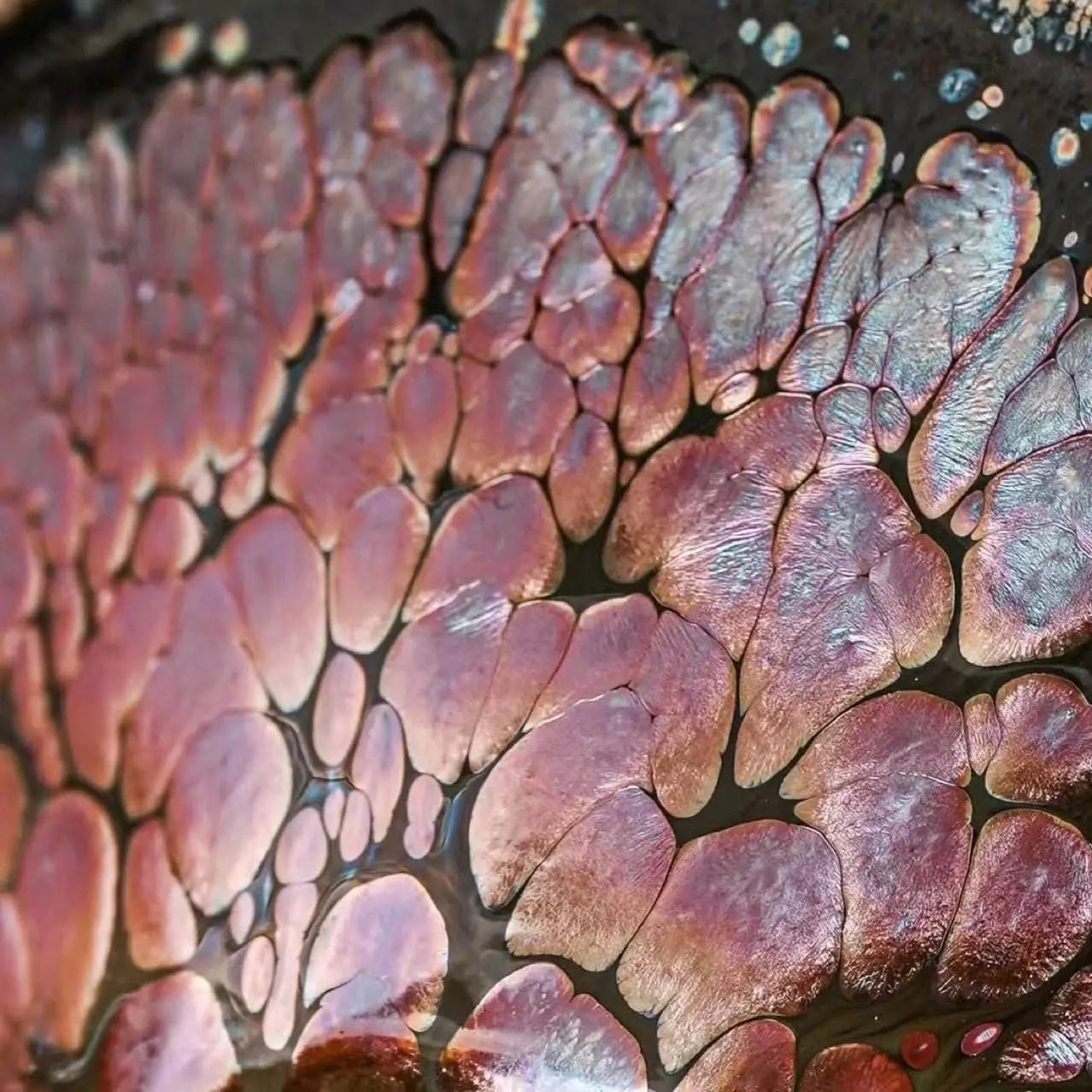 Jianzhan Tea Cups – Raw Ore Glaze Iron Body, Tea Ceremony Stress Relief & Connoisseur Prestige - STAR8S