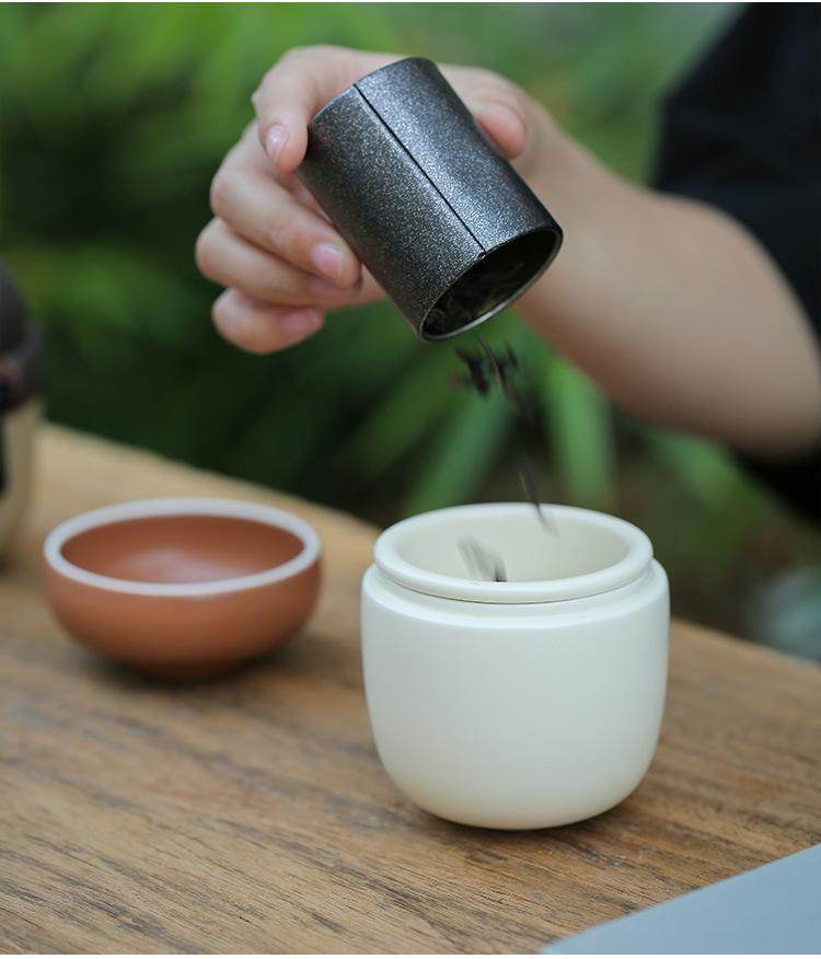 Pinecone Ceramic Travel Tea Set Portable for Home Office Tea Making - STAR8S